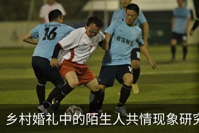 乡村婚礼中的陌生人共情现象研究